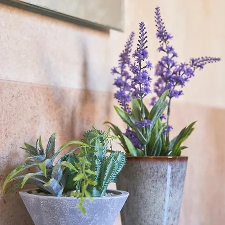 Idyllic With Amazing Courtyard, By Timecooler Lisboa